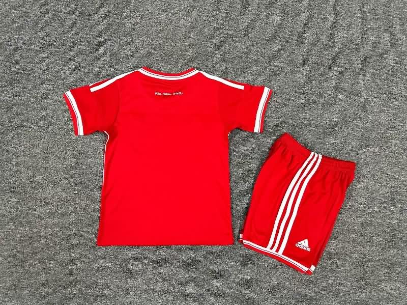 Kids Bayern Munich Soccer Jersey Home Final Replica 2012/13