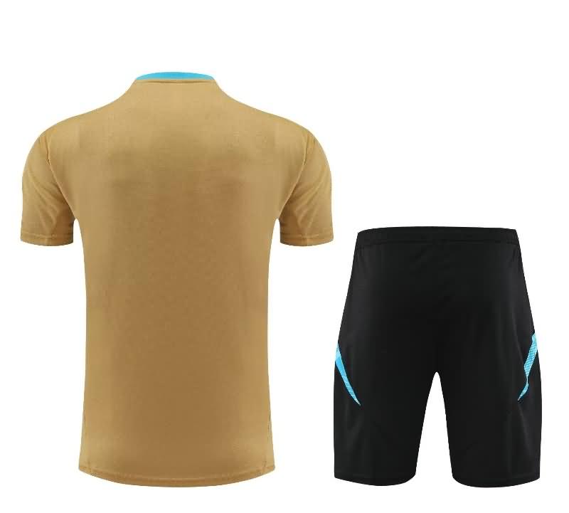 Argentina Training Jersey 02 Gold Replica 2024