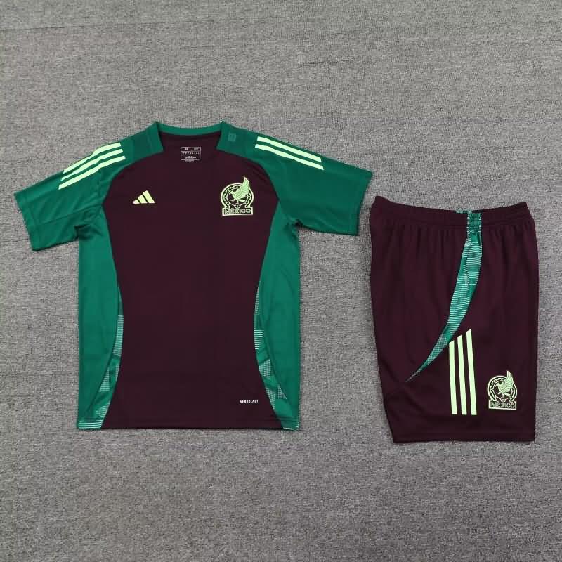 Mexico Training Jersey Red Replica 2024