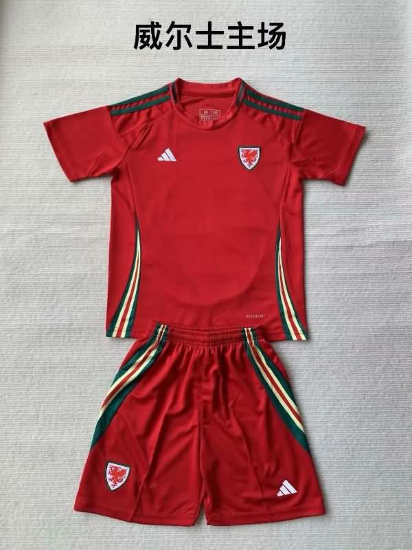Wales Soccer Jersey Home Replica 2024