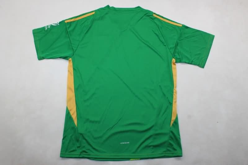 Aston Villa Soccer Jersey Goalkeeper Green Replica 24/25