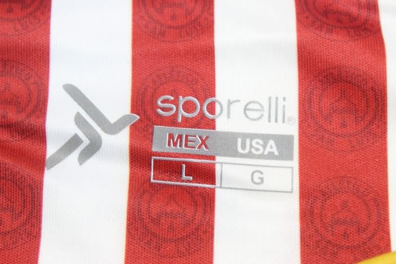 Atletico San Luis Soccer Jersey Away Replica 24/25