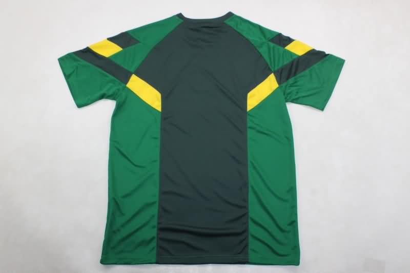 Celtic Training Jersey 02 Replica 24/25