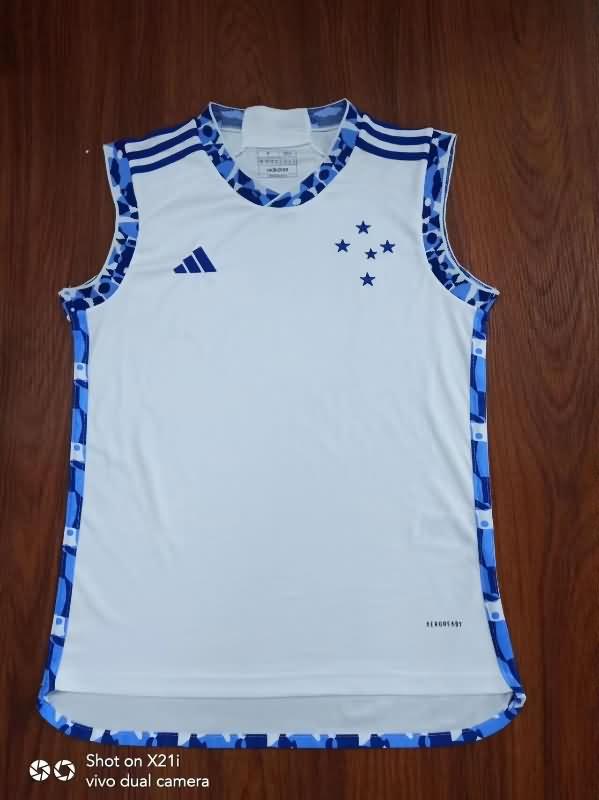 Cruzeiro Training Jersey 02 Vest Replica 2024