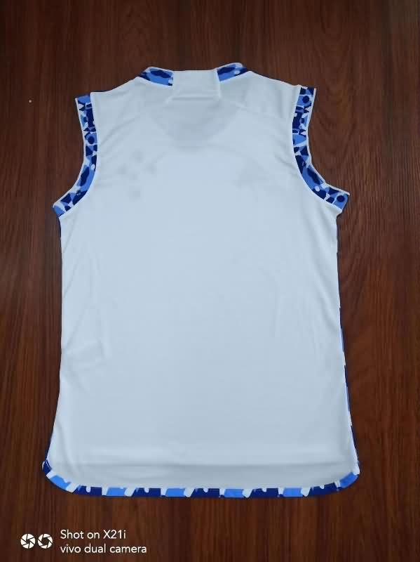 Cruzeiro Training Jersey 02 Vest Replica 2024