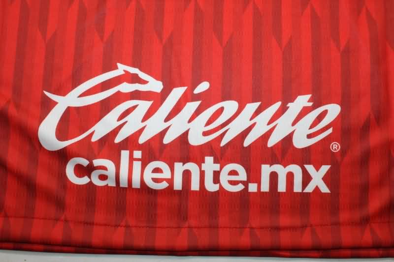 Deportivo Toluca Soccer Jersey Home Replica 24/25