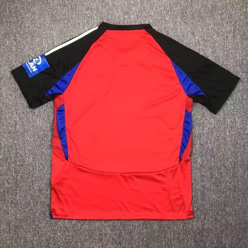 Hamburg Soccer Jersey Third Replica 24/25