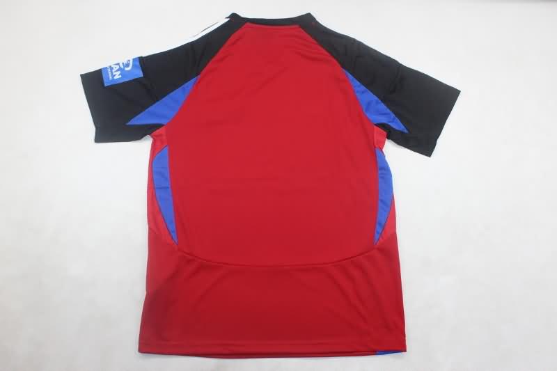 Hamburg Soccer Jersey Third Replica 24/25