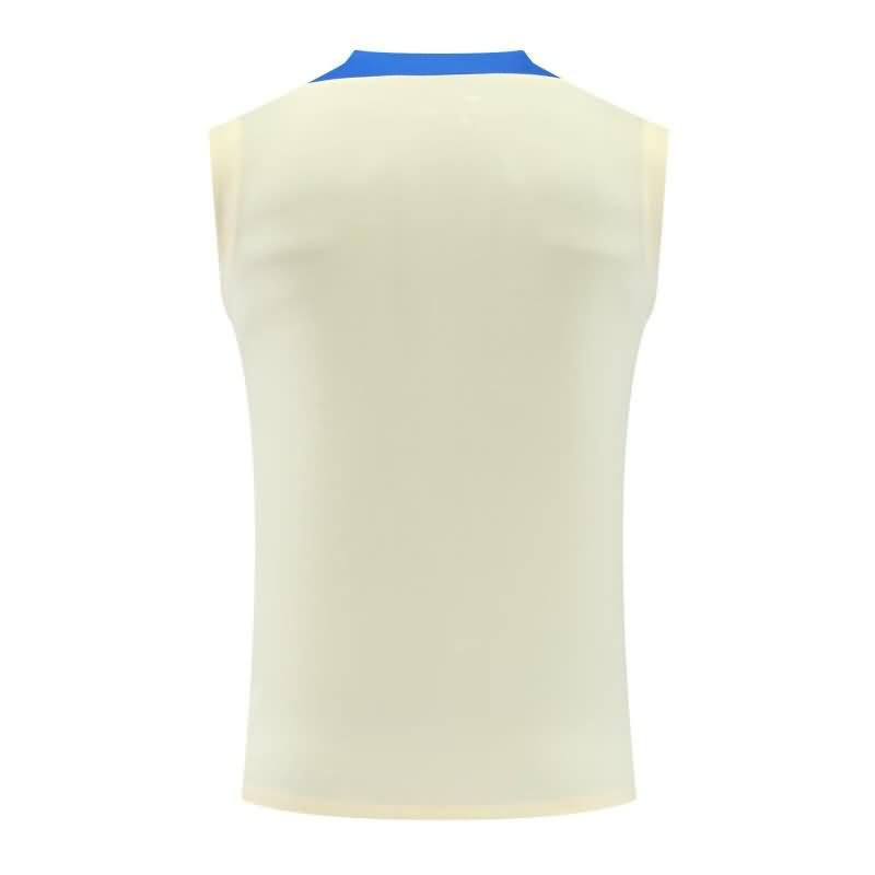 Inter Milan Training Jersey 02 Vest Replica 24/25