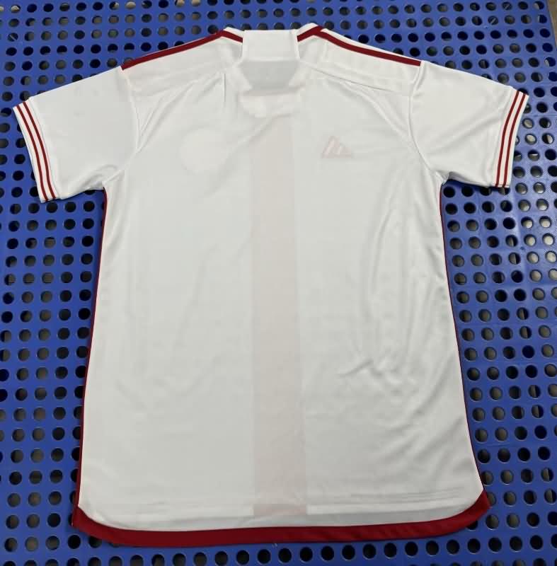 Sport Club Internacional Soccer Jersey Away Replica 2024