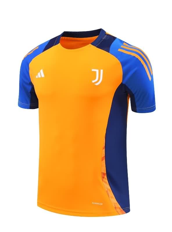 Juventus Training Jersey 03 Replica 24/25