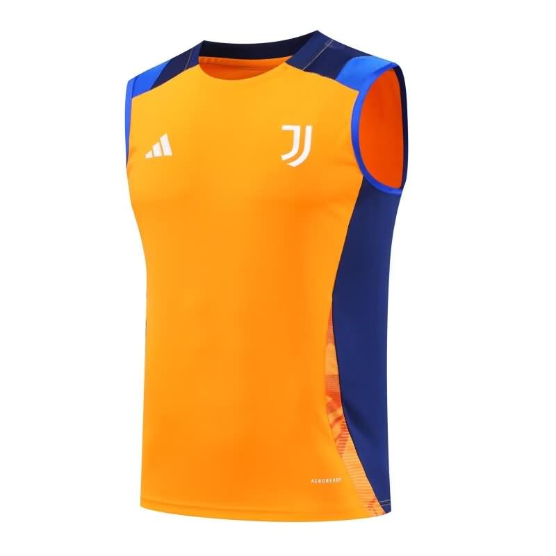 Juventus Training Jersey 03 Vest Replica 24/25