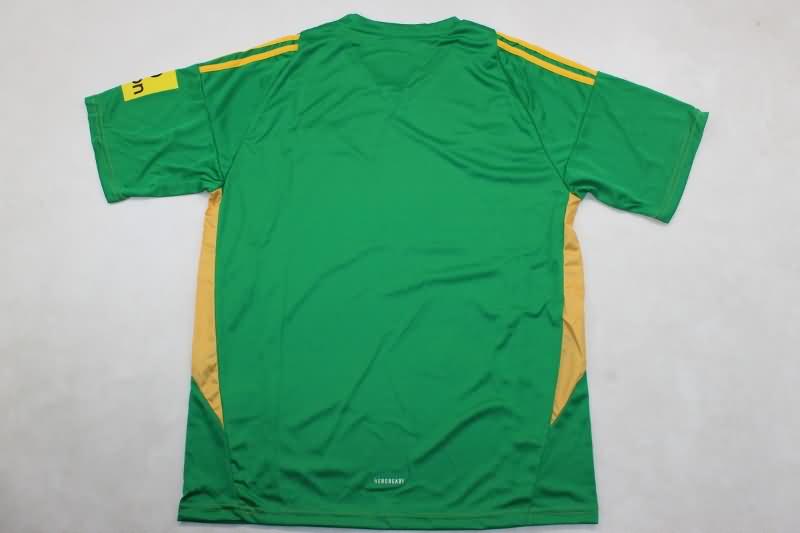 Newcastle United Soccer Jersey Goalkeeper Green Replica 24/25