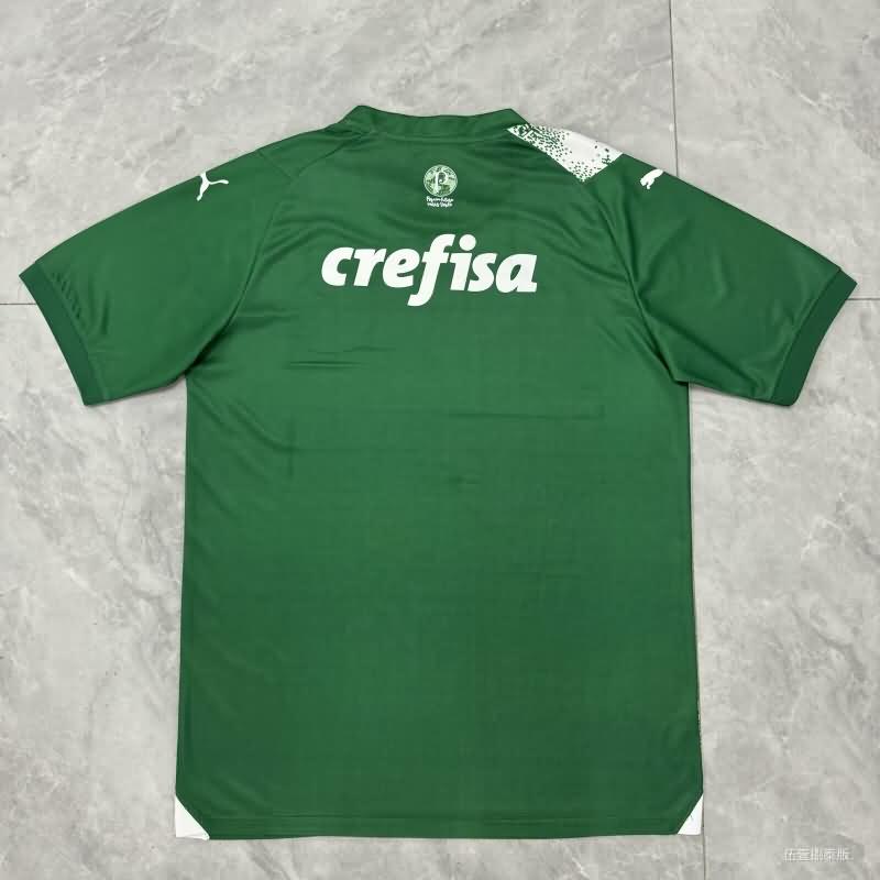 Palmeiras Soccer Jersey Special Replica 2024