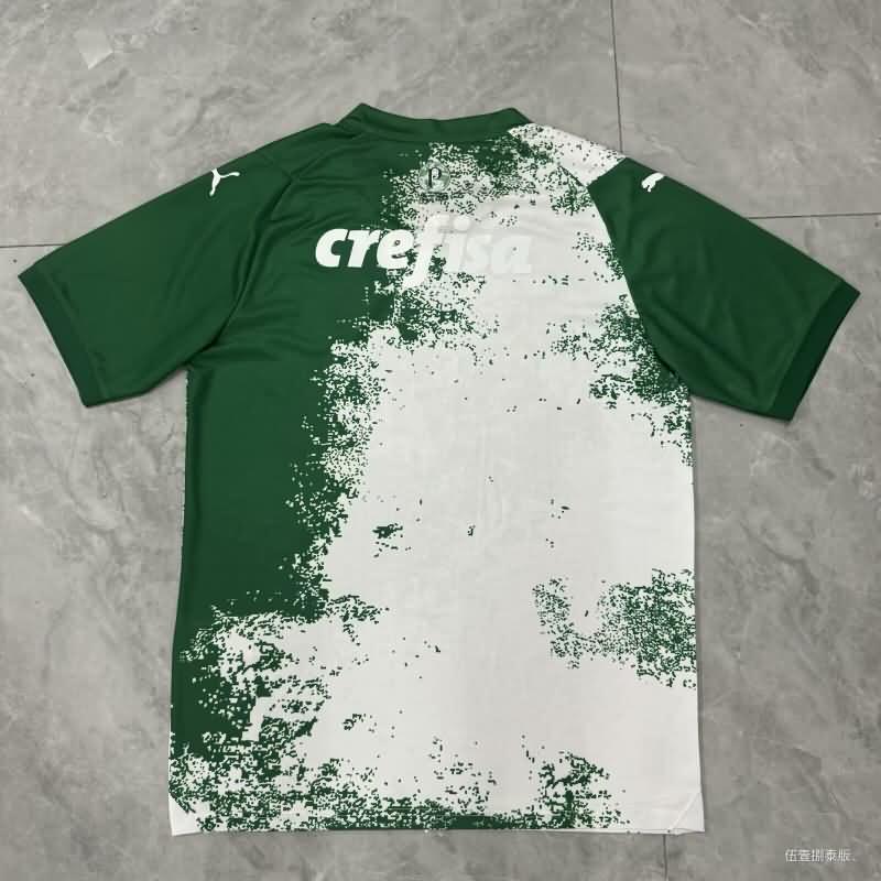 Palmeiras Soccer Jersey 02 Special Replica 2024