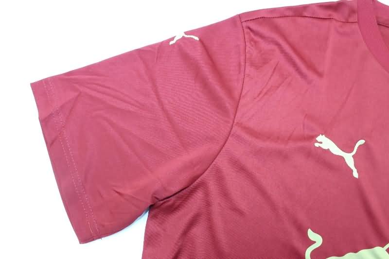 RB Leipzig Soccer Jersey Special Replica 24/25