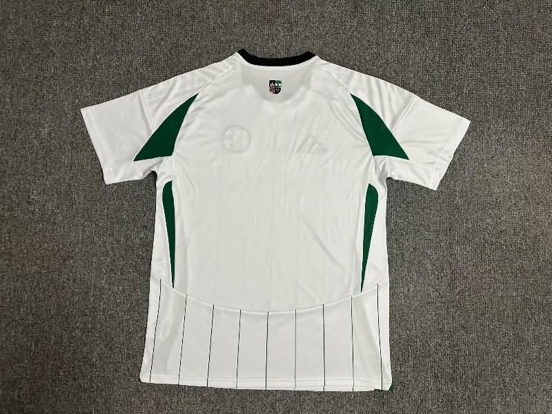 Schalke 04 Soccer Jersey Away Replica 24/25