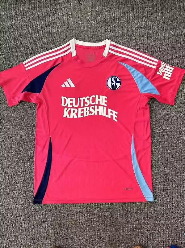 Schalke 04 Soccer Jersey Special Replica 24/25