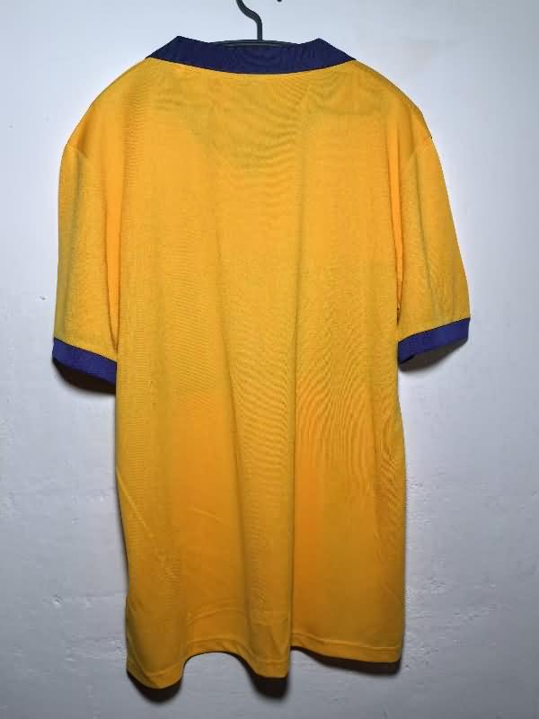 Tigres UANL Soccer Jersey 02 Special Replica 24/25