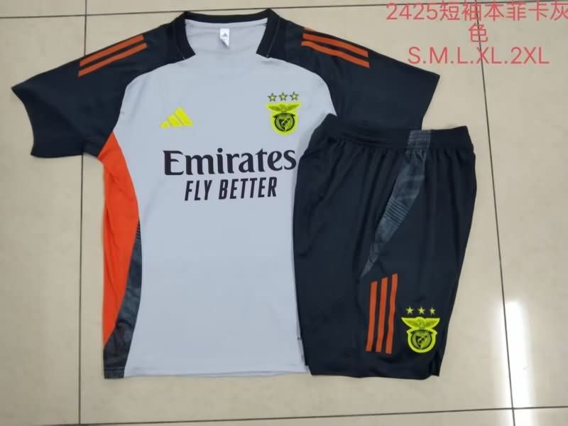 AAA Quality Benfica 24/25 Grey Soccer Training Sets