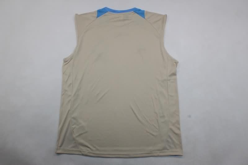 Argentina Training Jersey Vest Replica 2024