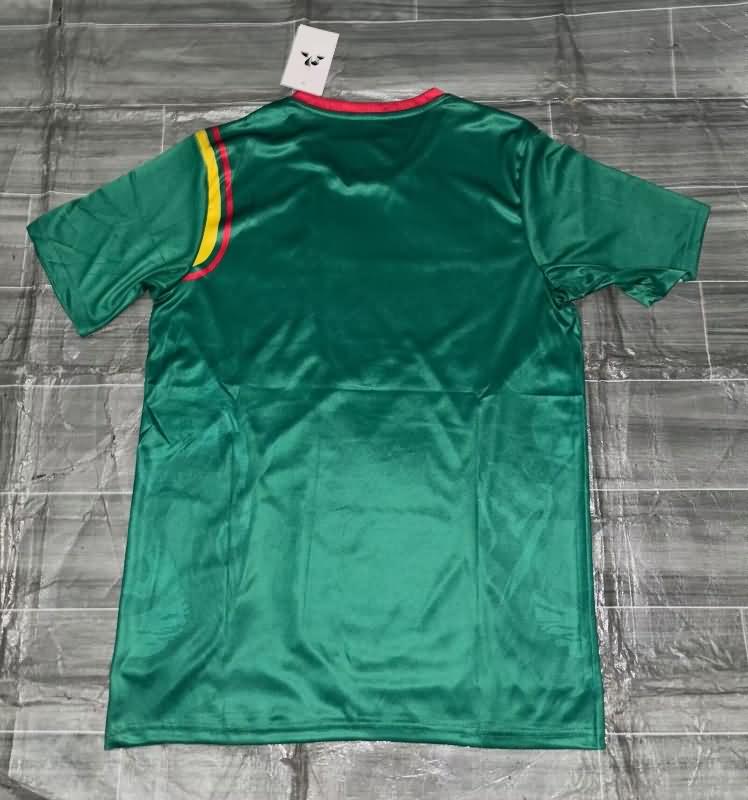 Cameroon Soccer Jersey Home Replica 2024/25