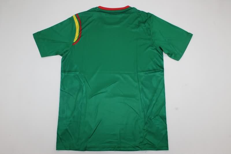 Cameroon Soccer Jersey Home Replica 2024/25