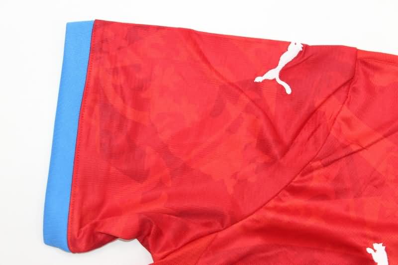 Czech Soccer Jersey Home Replica 2024