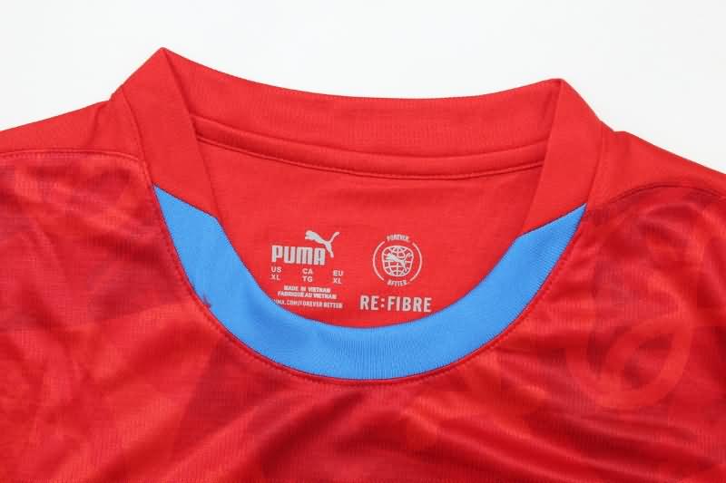 Czech Soccer Jersey Home Replica 2024