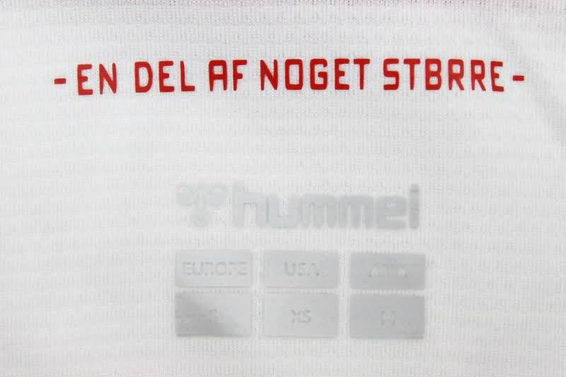 Denmark Soccer Jersey Away Replica 2024