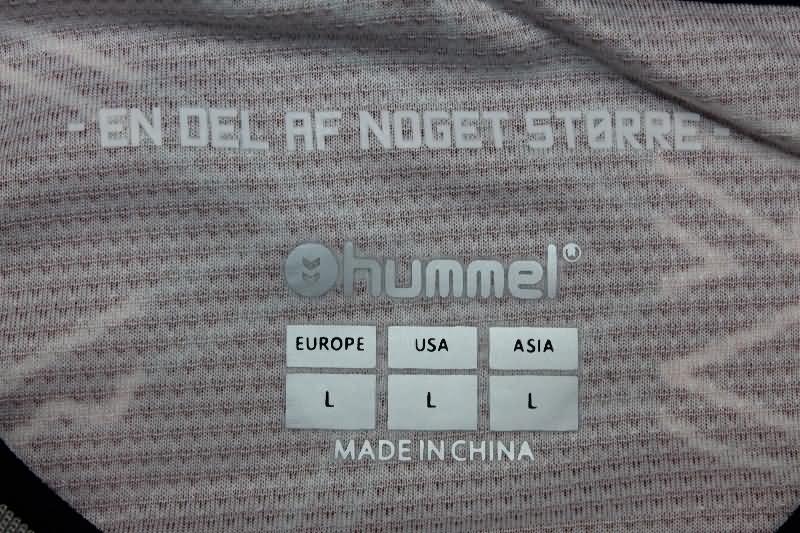 Denmark Training Jersey 02 Replica 2024