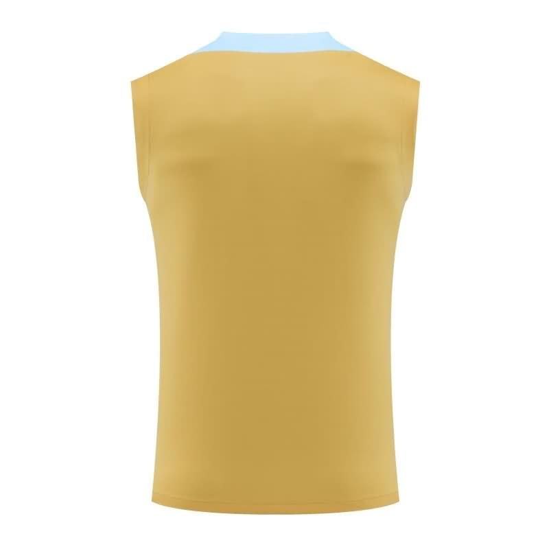 France Training Jersey 03 Vest Replica 2024