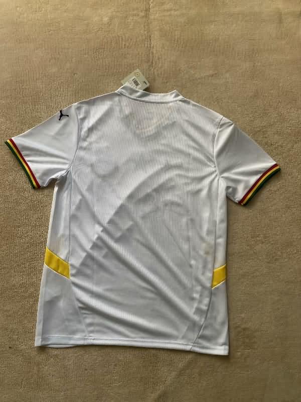 Ghana Soccer Jersey Special Replica 2025