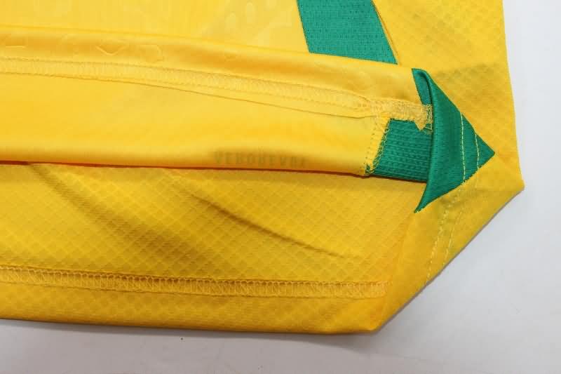 Jamaica Soccer Jersey Copa America Home Replica 2024