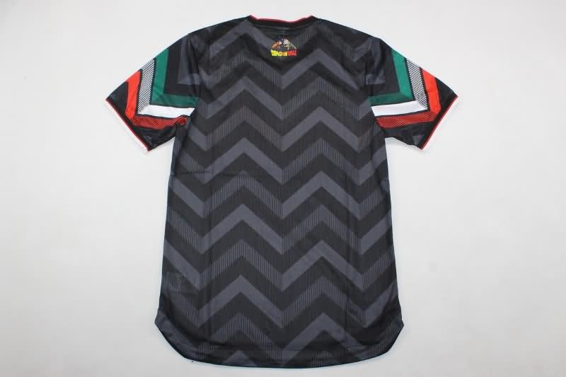 Mexico Soccer Jersey Special (Player) 2024