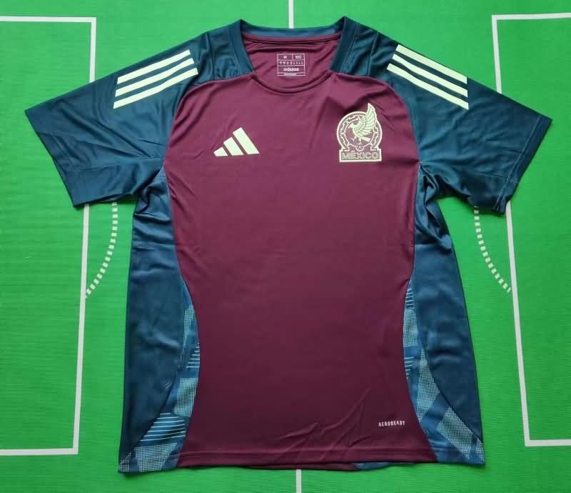 Mexico Training Jersey 02 Replica 2024