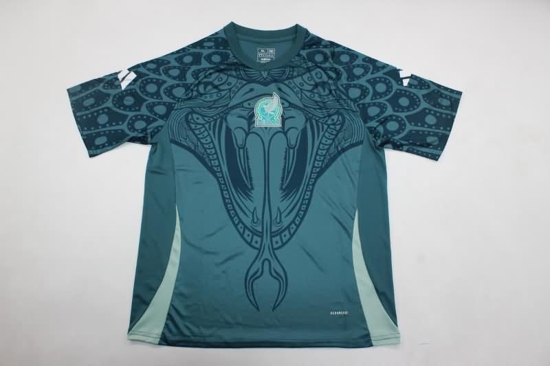 Mexico Training Jersey 03 Replica 2024