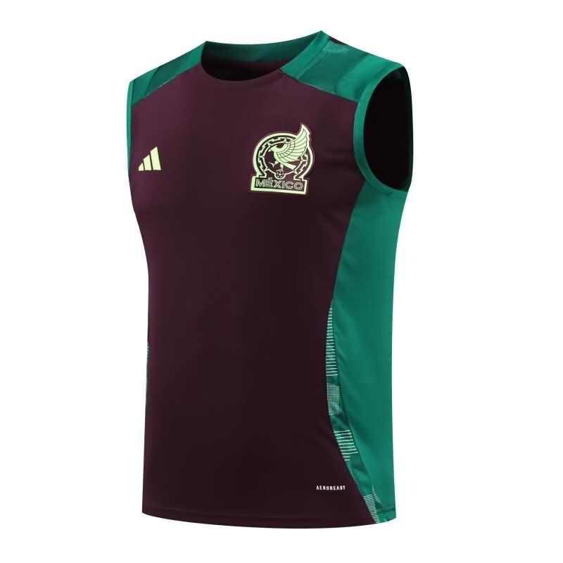 Mexico Training Jersey Vest Replica 2024