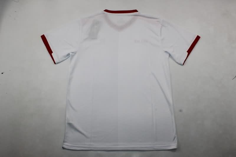 Palestine Soccer Jersey Away Replica 2024