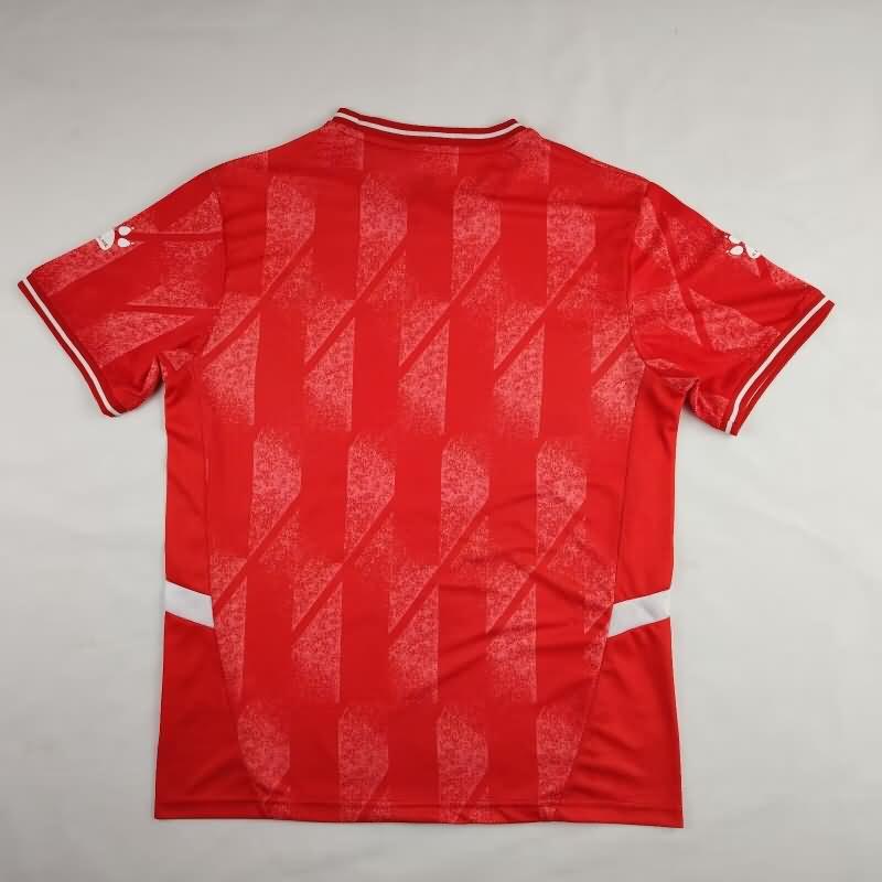 Palestine Soccer Jersey 02 Special Replica 2024