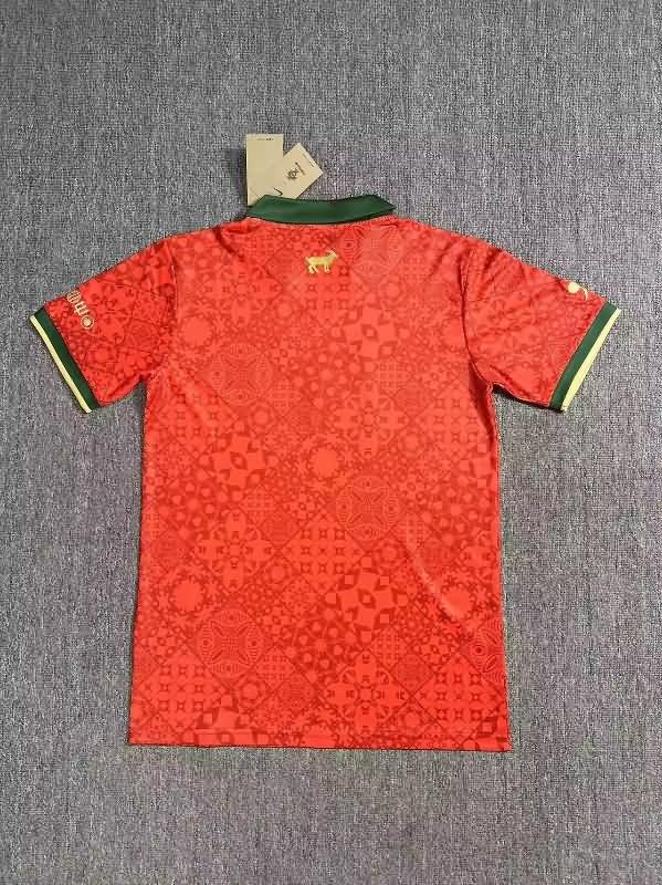 Portugal Soccer Jersey Special Replica 24/25