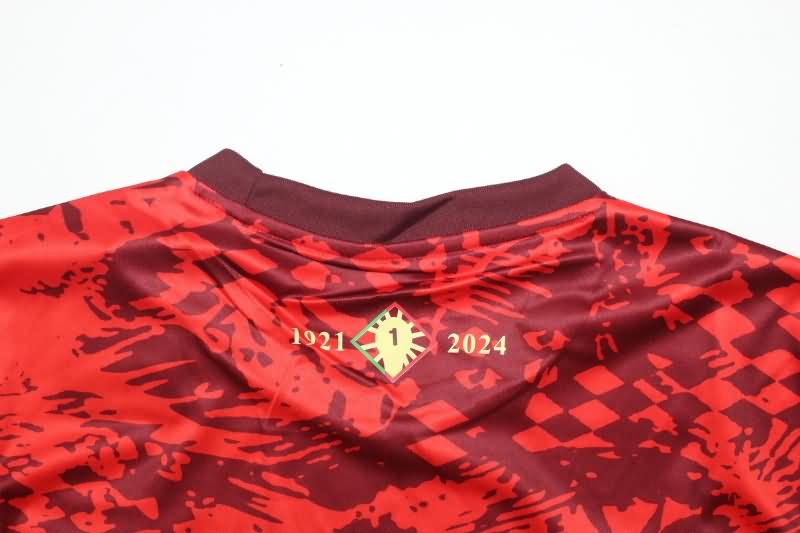 Portugal Training Jersey 02 Replica 2024