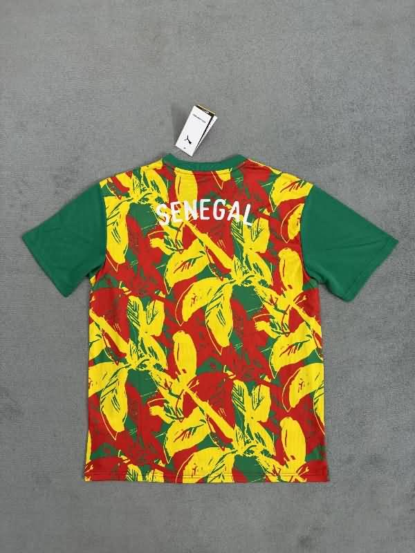 Senegal Training Jersey 02 Replica 2025