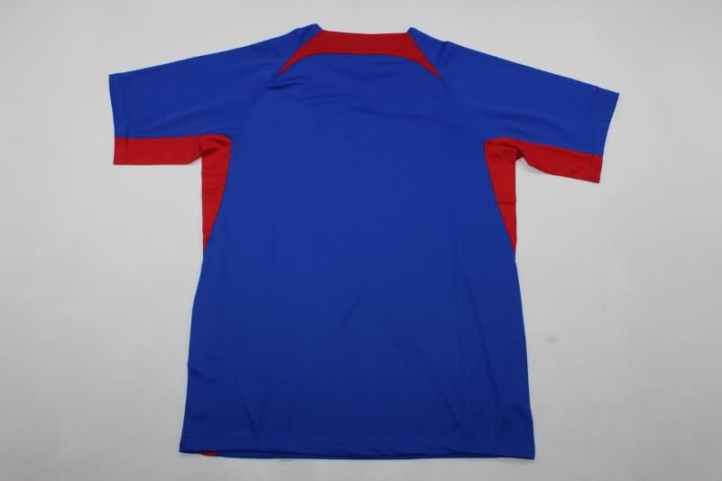 Slovakia Soccer Jersey Home Replica 2024