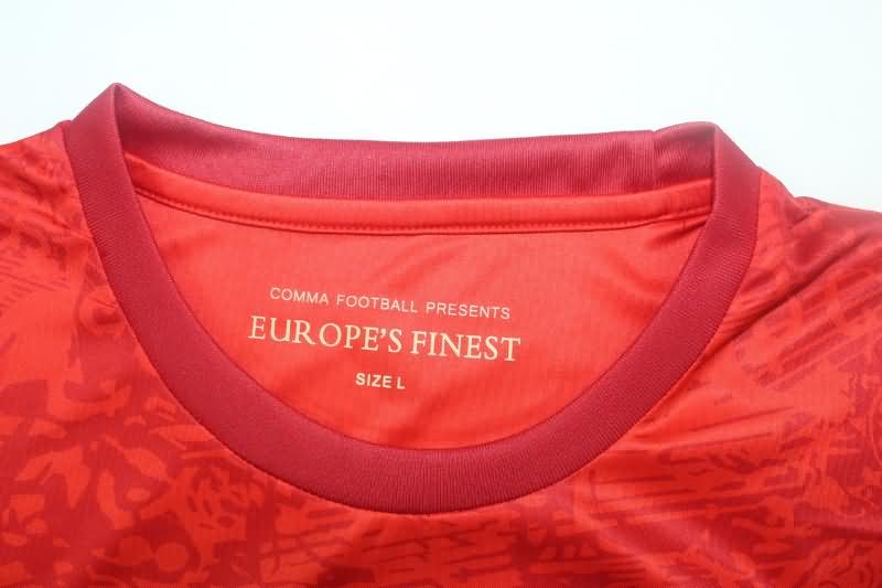 Spain Soccer Jersey Special Replica 24/25