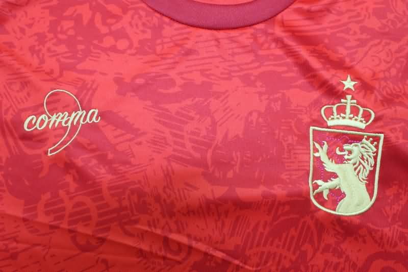 Spain Soccer Jersey Special Replica 24/25