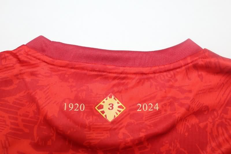 Spain Soccer Jersey Special Replica 24/25