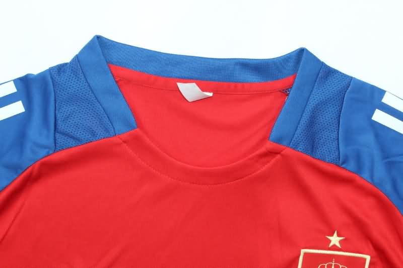 Spain Training Jersey 03 Replica 2024