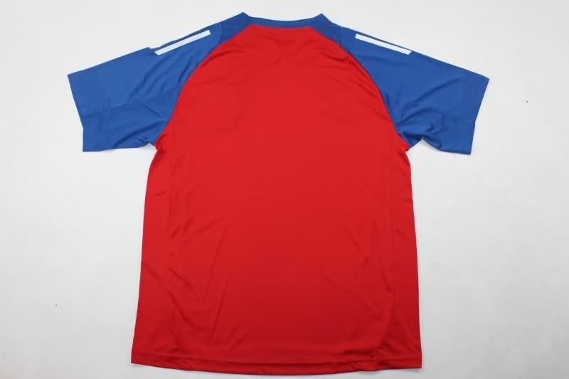 Spain Training Jersey 03 Replica 2024