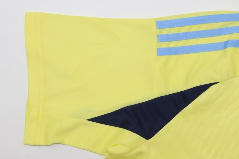 Sweden Soccer Jersey Home Replica 2024